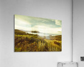 Lighthouse Bay Beach Bruny Island Acrylic Print