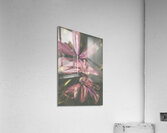 Flow er Acrylic Print