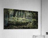 Dense tropics Acrylic Print