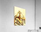 Balsa Boarder 1970 Acrylic Print