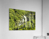 St Columba Falls Tasmania Acrylic Print