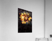 Flames of passion and intimacy Acrylic Print