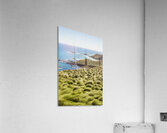 Vibrant cape seascape Acrylic Print