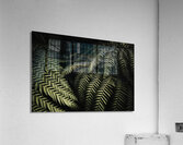 The exotic dark jungle Acrylic Print