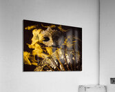 Mask of theatre Acrylic Print