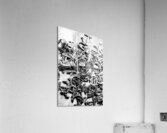 A Pirates Loot Acrylic Print