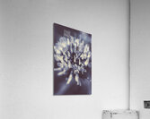 Wild beauty Acrylic Print