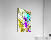 Exotic creatures Impression acrylique
