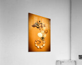 Marine Seashell Seahorse Design Acrylic Print