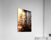 Samson f***ed up Acrylic Print