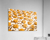 Visual treat Acrylic Print