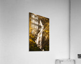 Tasmanian waterfall landscape Acrylic Print