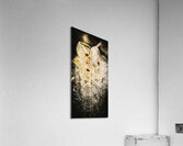 Fractal flower Acrylic Print