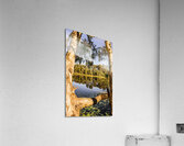 Framing stillness Acrylic Print