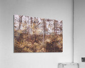 Washes of warmth Acrylic Print