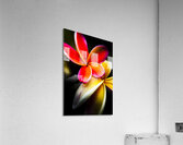 Touch of summer Acrylic Print