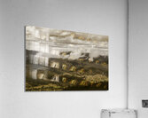 Glorious Cloud Cover Acrylic Print