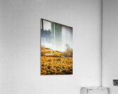 Rustic Pastoral Australia Acrylic Print