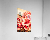 Shabby chic romances Acrylic Print