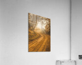 Peaceful Tasmania country road Acrylic Print