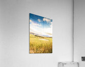 Australian open spaces  Acrylic Print