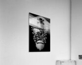 Jolly Roger Acrylic Print