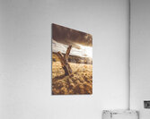 Arid Tasmania bush landscape Acrylic Print