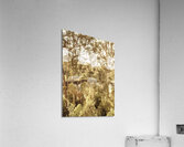 Elevated country Acrylic Print