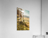 Dusky fields Acrylic Print