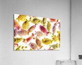 Colorkoi Acrylic Print