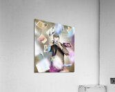 Photography competition Acrylic Print