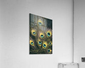 Wild elegance Acrylic Print