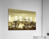 Toned view of a snowy Mount Gell Tasmania Acrylic Print