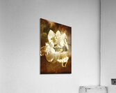 Past life flowers Acrylic Print