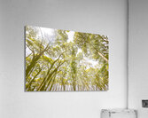 Country wide Acrylic Print