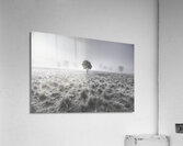 Wondrous misty background Acrylic Print