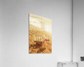 Seafaring scenes Acrylic Print