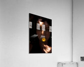 Sun Flower Acrylic Print