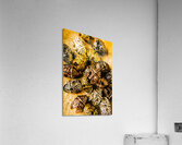 Roman armoury den Acrylic Print