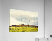 Green Tasmania Acrylic Print