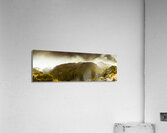 Mountain of trees Acrylic Print