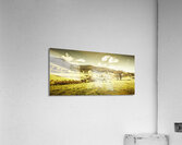 Peaceful panoramic pasture Acrylic Print