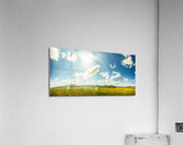 Spring country Acrylic Print