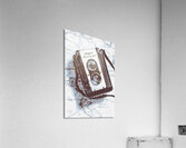 Visual venture Acrylic Print