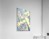 Autumnal color  Acrylic Print