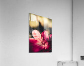 Retro flower Acrylic Print