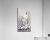 A grape gala Acrylic Print