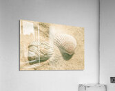 Simply coastal Acrylic Print