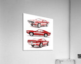 Shelby GT500  Acrylic Print