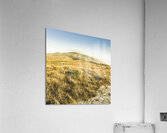 Pristine mountain plains Acrylic Print